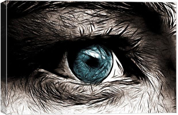 blue eyed Canvas Print by Silvio Schoisswohl