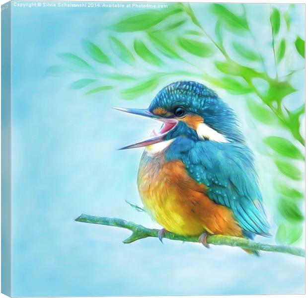  Happy little kingfisher Canvas Print by Silvio Schoisswohl
