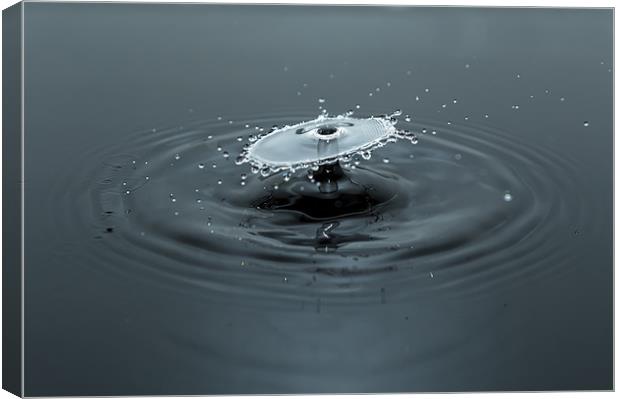 Water Drop Magic Canvas Print by Brian Wilson