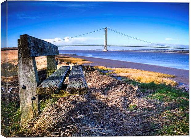 Sentinal of the Humber Canvas Print by P D