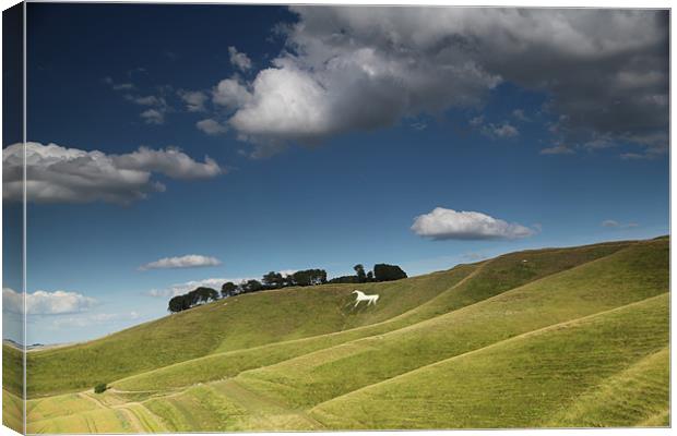 Cherhill White Horse Canvas Print by Simon Cadby