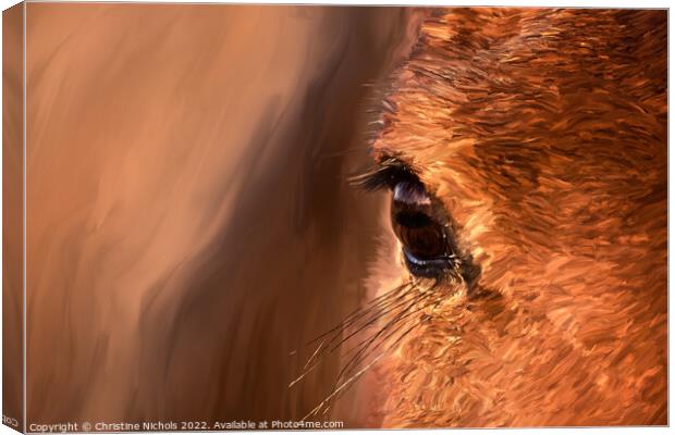 Horse's eye, close up Painting Canvas Print by Christine Kerioak