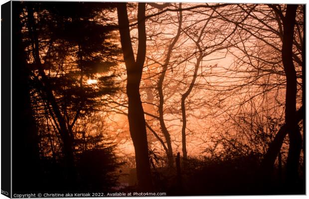 Winter sun lighting up the fog and silhouetting tr Canvas Print by Christine Kerioak