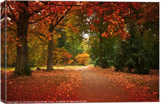 Red Autumn Tree Lined Path Canvas Print by Christine Kerioak