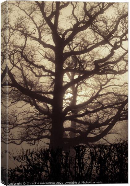 Abstract Oak Tree in mist Canvas Print by Christine Kerioak