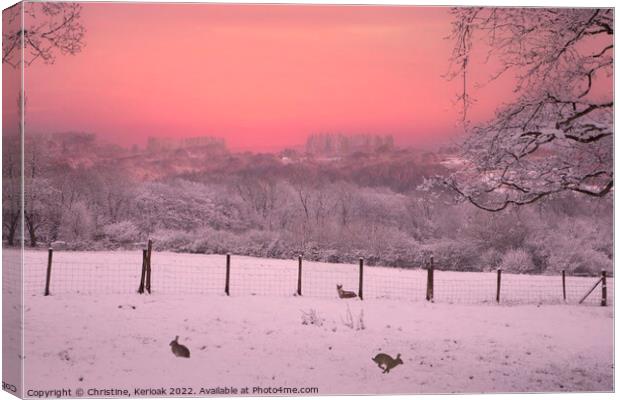 Pink Snow Canvas Print by Christine Kerioak