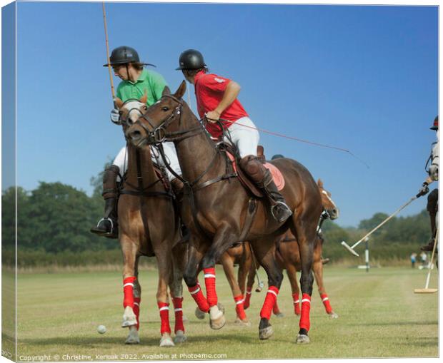 Polo Fast and Furious Canvas Print by Christine Kerioak