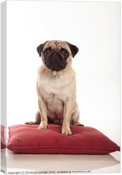 Pug Sitting on a Cushion Canvas Print by Christine Kerioak