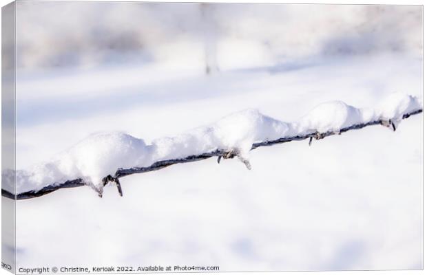 Snow Covered Barbed Wire Canvas Print by Christine Kerioak