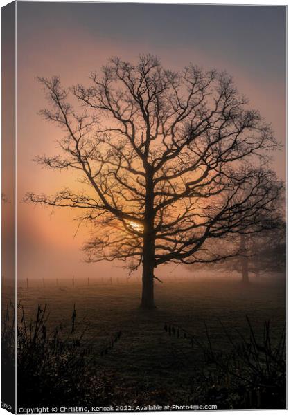 Sun rising out of mist behind large Oak Tree Canvas Print by Christine Kerioak