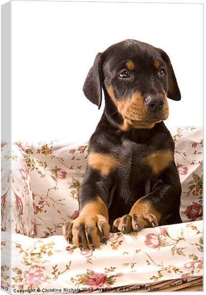 Dobermann puppy in basket Canvas Print by Christine Kerioak