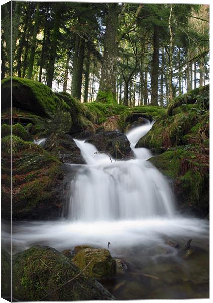 Elan Valley Stream Canvas Print by Stacey Perrin