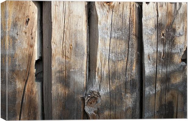 Old vertical timber wall Canvas Print by Hemmo Vattulainen