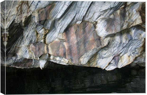 the Rock Fish Canvas Print by Hemmo Vattulainen