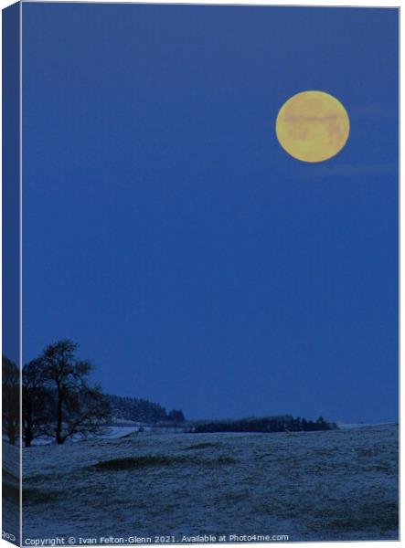 Snowy Moonlit landscape Scotland UK Canvas Print by Ivan Felton-Glenn
