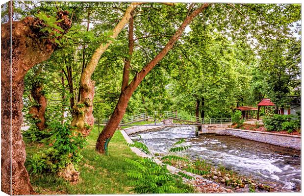 Under the trees in park, close to river Canvas Print by Dragomir Nikolov