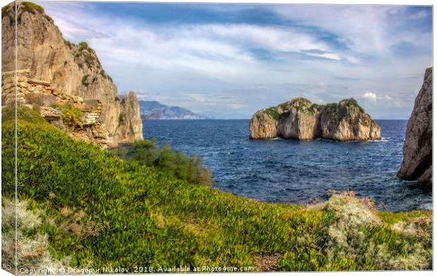 Capri island in a beautiful summer day in Italy Canvas Print by Dragomir Nikolov