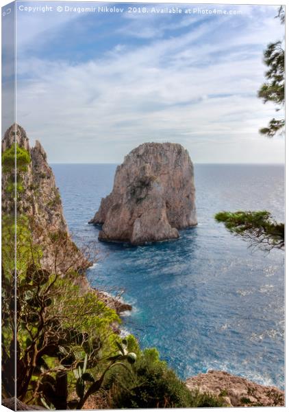 Faraglioni rock on Capri island, Italy.  Canvas Print by Dragomir Nikolov