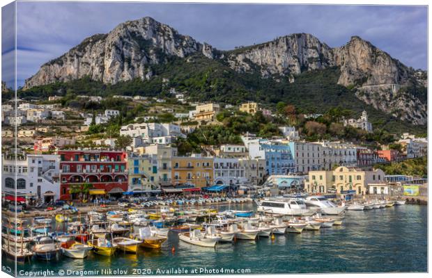 Colorful port of Capri island in Italy Canvas Print by Dragomir Nikolov