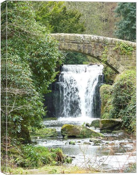 Footbridge and Waterfall Canvas Print by Carly Mahone