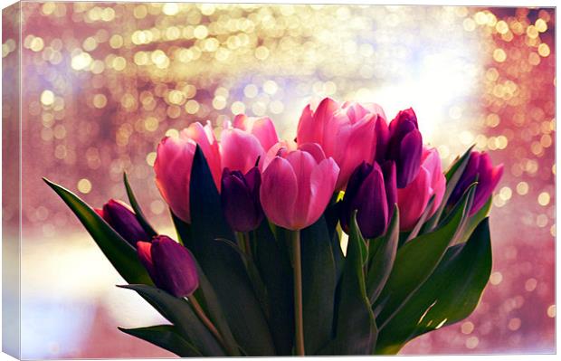 Pink and purple tulips Canvas Print by Gabriela Olteanu