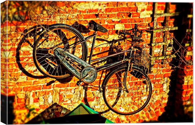 The Bicycle Canvas Print by chrissy woodhouse