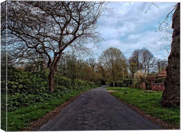 normanston drive Canvas Print by chrissy woodhouse
