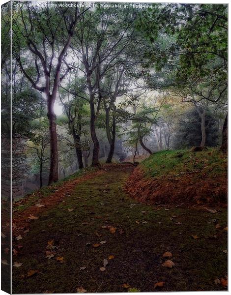  autumn mist Canvas Print by chrissy woodhouse