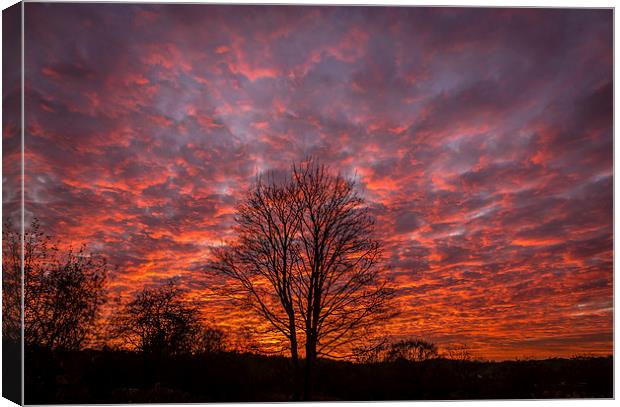 Autumn Sunset Over Cheshire Canvas Print by Andy McGarry