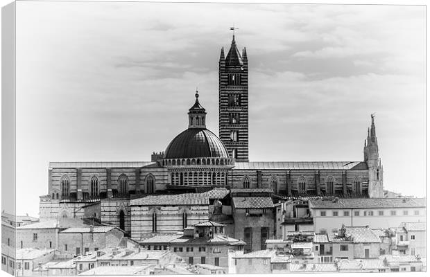 Siena Cathedral - Italy Canvas Print by Andy McGarry
