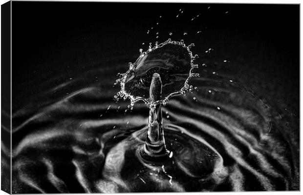 Water Droplet Canvas Print by Andy McGarry
