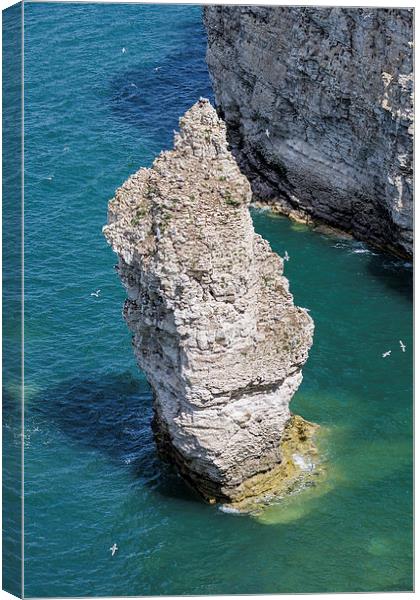  Stack at Flamborough Head Canvas Print by Andy McGarry