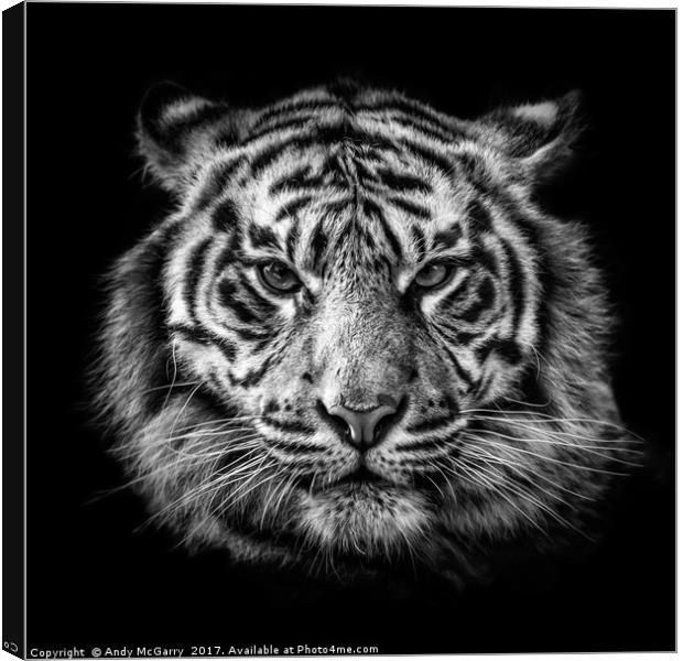 Tiger Portrait Canvas Print by Andy McGarry