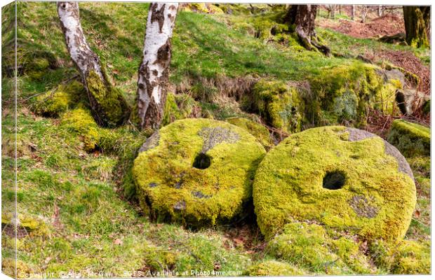 Peak District Millstones Canvas Print by Andy McGarry