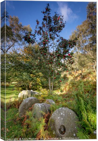 Millstones and yew tree Canvas Print by Andy McGarry