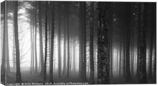 Winter Forest Fog Canvas Print by Andy McGarry