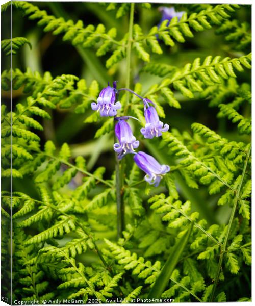 Spring Bluebells Canvas Print by Andy McGarry