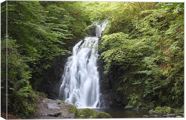 gleno waterfall, northern ireland Canvas Print by william sharpe