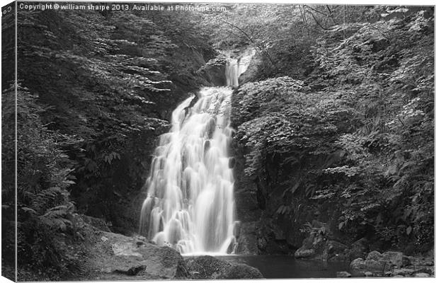 gleno waterfall in black and white Canvas Print by william sharpe