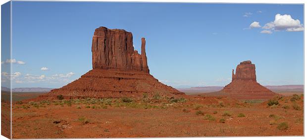 A Pair of Mittens Canvas Print by Ken Patterson