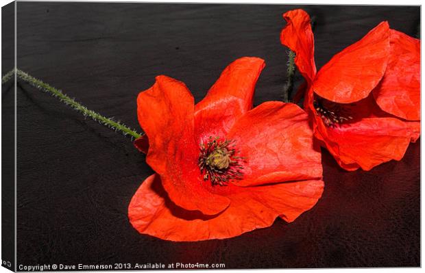Poppies Canvas Print by Dave Emmerson