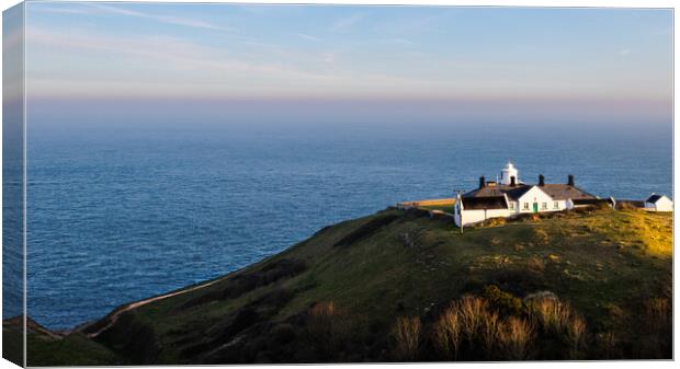 Majestic Views at Anvil Point Lighthouse Canvas Print by Daniel Rose