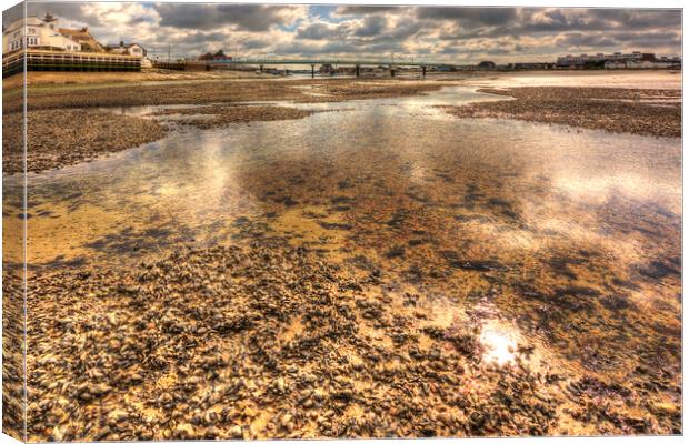 In Shallow Water Canvas Print by Malcolm McHugh