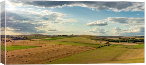 Evening Sun over Blackpatch Hill Canvas Print by Malcolm McHugh