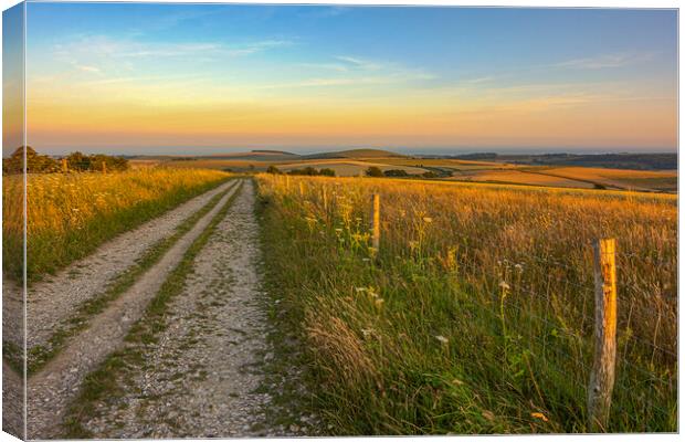 Last Light on the South Downs Way Canvas Print by Malcolm McHugh