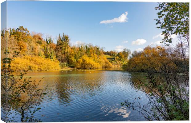 Golden Calm Canvas Print by Malcolm McHugh