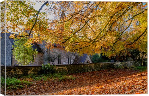 Russet Canopy Canvas Print by Malcolm McHugh