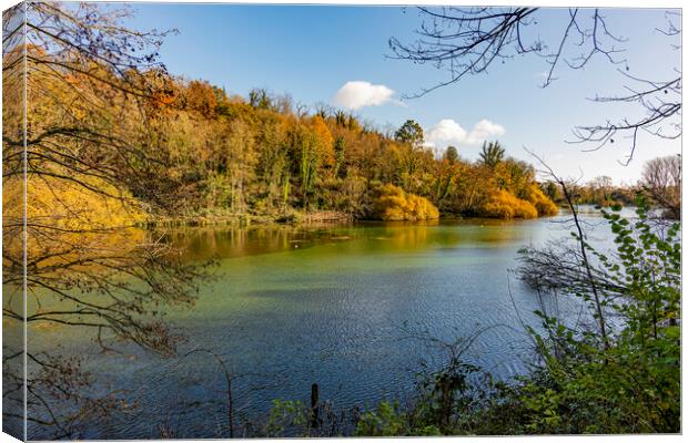 Swanbourne Lake in Autumn Canvas Print by Malcolm McHugh