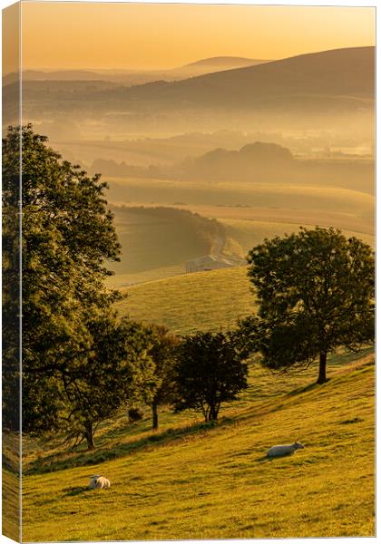 Tranquil South Downs Canvas Print by Malcolm McHugh