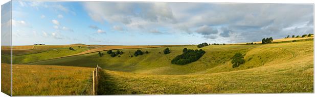 Looking South over Steyning Bowl Canvas Print by Malcolm McHugh
